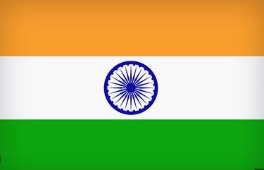 Vikashintl.com